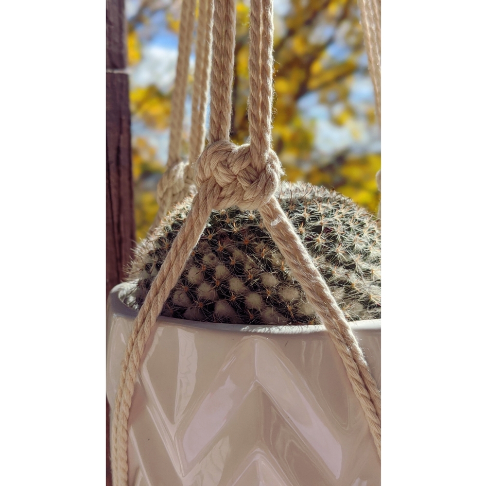 Josephine Plant Hanger